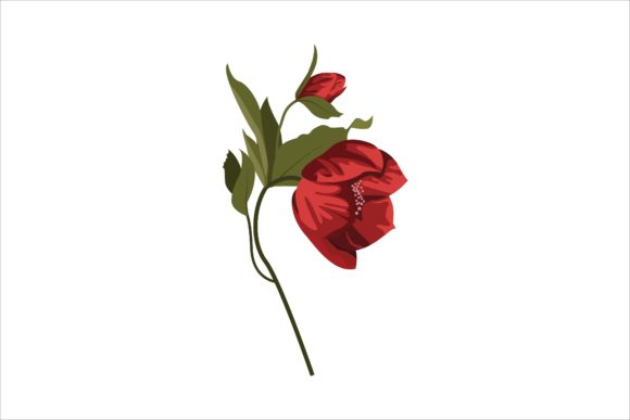 Captivating Audiences with Red Floral Design Illustration