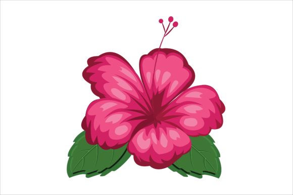 Pink Hibiscus Floral Flower Illustration: A Versatile Design for Your Creative Projects