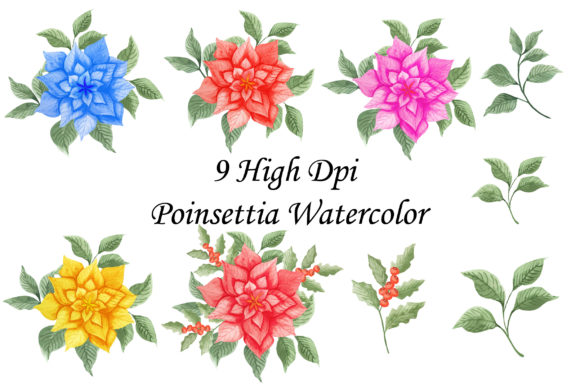 Poinsettia Watercolor Florals: A Toolkit for Creative Projects