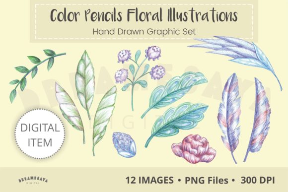 Unlock Your Creative Vision with Hand-Drawn Color Pencil Illustrations